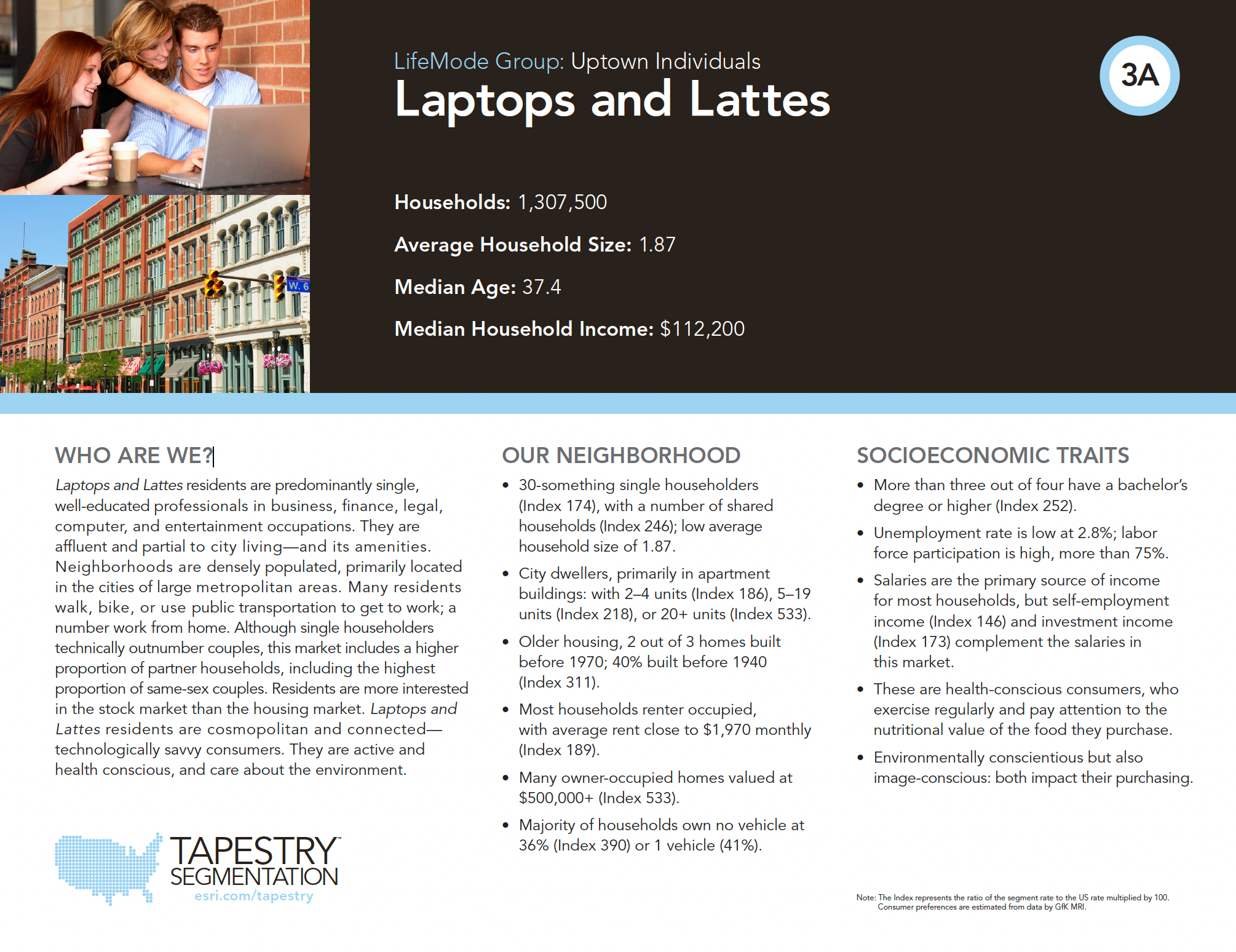 Sample psychographic lifestyle segmentation profile used in Miller Walker retail site analysis
